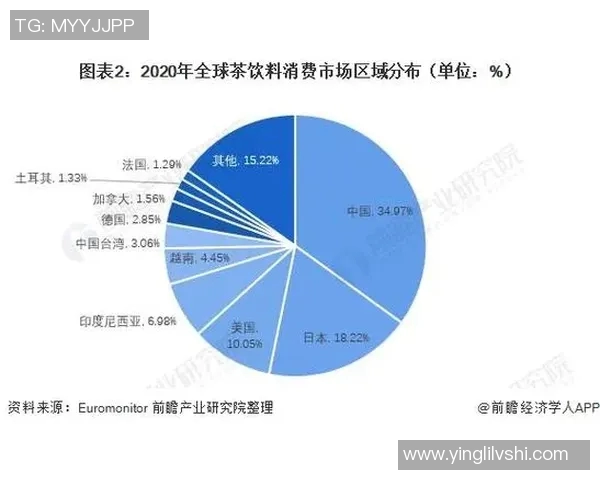 杭州网球队力量表现的数据分析与发展趋势探讨 杭州网球队力量表现的数据分析与发展趋势探讨