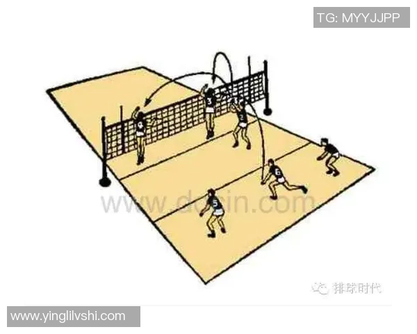 武汉排球队进攻战术解析与球队表现的深度剖析 武汉排球队进攻战术解析与球队表现的深度剖析