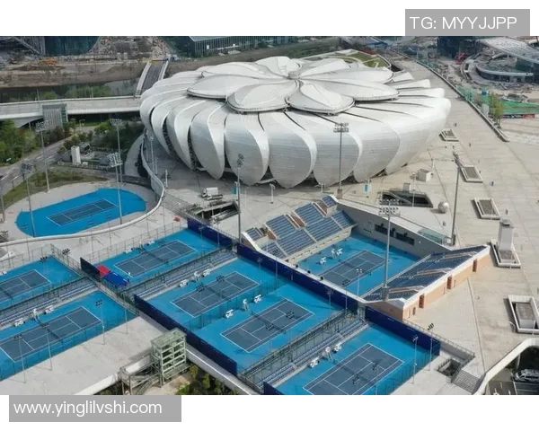 杭州网球队的阵地战解析：网球热点背后的战略与挑战